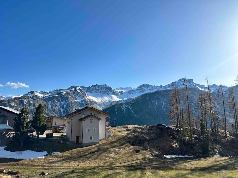 Dolomitisole -Perfect Destination For Mtb And Hiking On The Dolomites Villa Livinallongo Del Col Di Lana Exterior photo